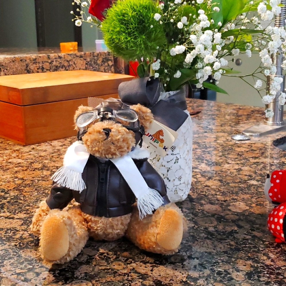 Bear Pilot Stuffed Toy